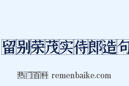 留别荣茂实侍郎造句是什么意思的图片